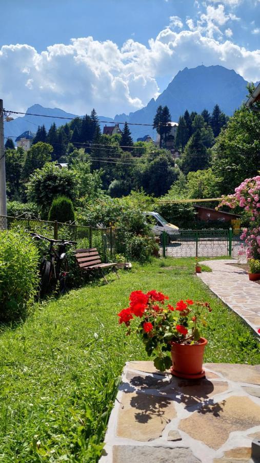 Villa Casa Tex Buşteni Exterior foto