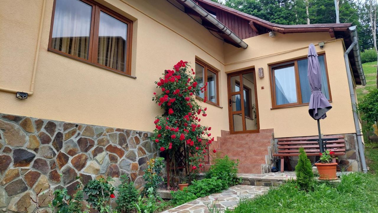 Villa Casa Tex Buşteni Exterior foto